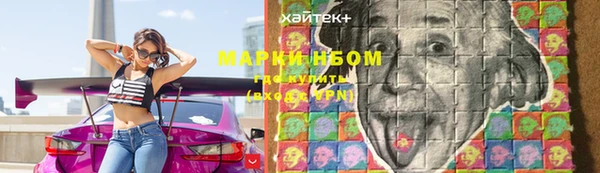 сатива Инсар