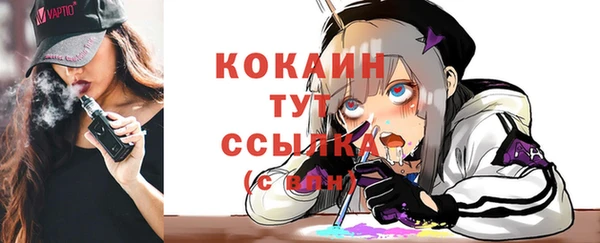 сатива Инсар
