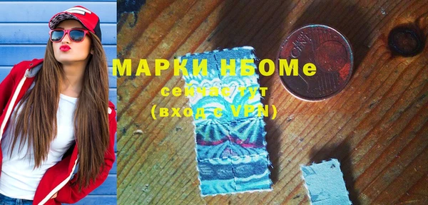 сатива Инсар