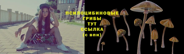 гидропоника Ельня