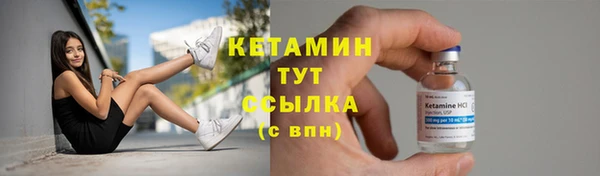 сатива Инсар