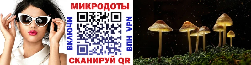 продажа наркотиков  Лысьва  Псилоцибиновые грибы MAGIC MUSHROOMS 